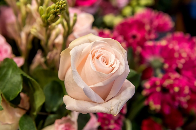 funeral flowers